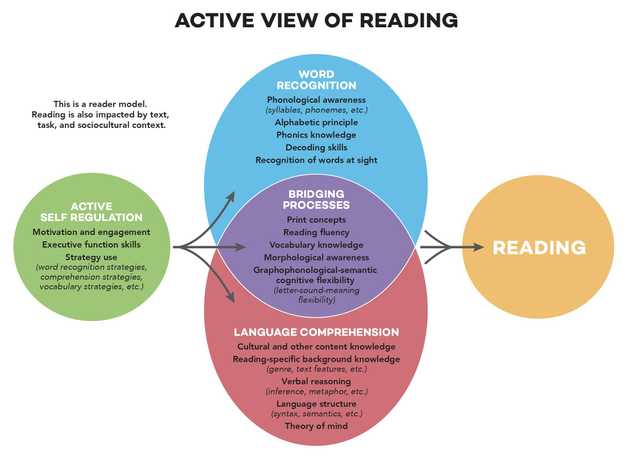 active view of reading